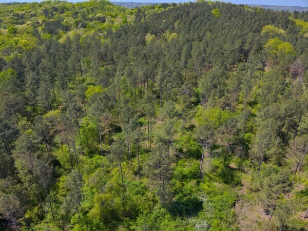 More Photos Of 0 S Sauty Rd, Langston Land For Sale