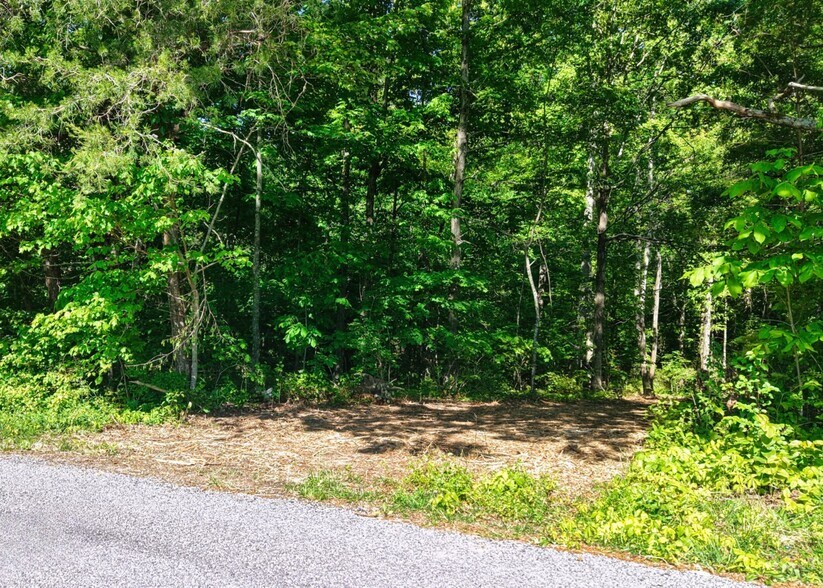 More Photos Of 1622 Monteagle Falls Rd, Monteagle Land For Sale