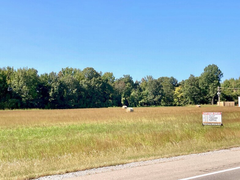 More Photos Of 8261 US 49, Brookland Land For Sale