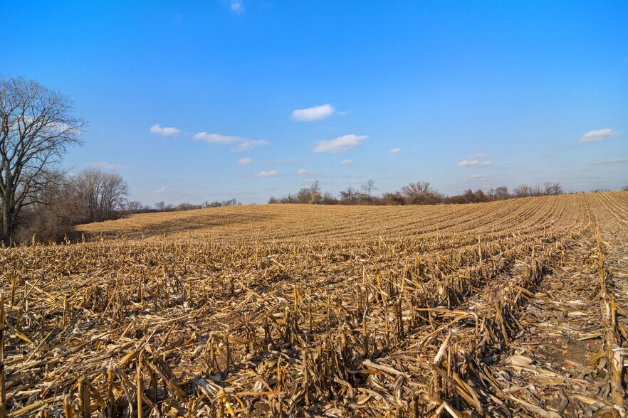 More Photos Of 19925 W Indian Creek Rd, Long Grove Land For Sale