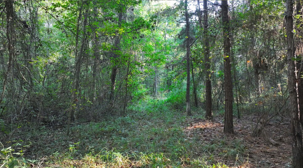 More Photos Of TBD CR 2041, Hull Land For Sale