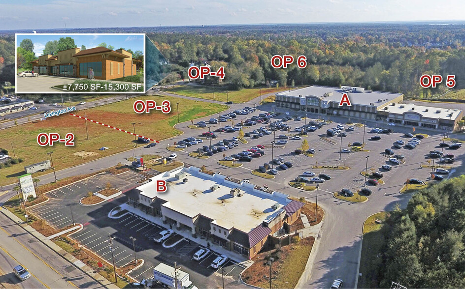 Primary Photo Of 1250 Chapin Rd, Chapin Land For Lease