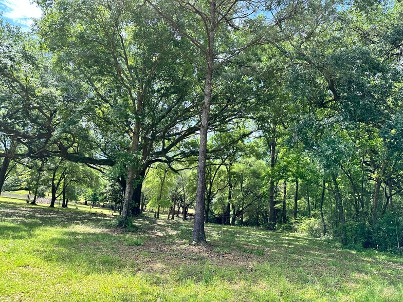 More Photos Of 0 Wilmer, Wilmer Land For Sale