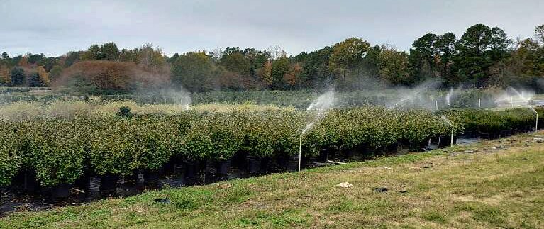 More Photos Of 224 Co Rd 096, Jasper Land For Sale