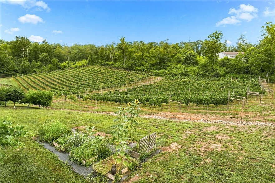 More Photos Of 1309 Redland Rd, Cross Junction Winery Vineyard For Sale