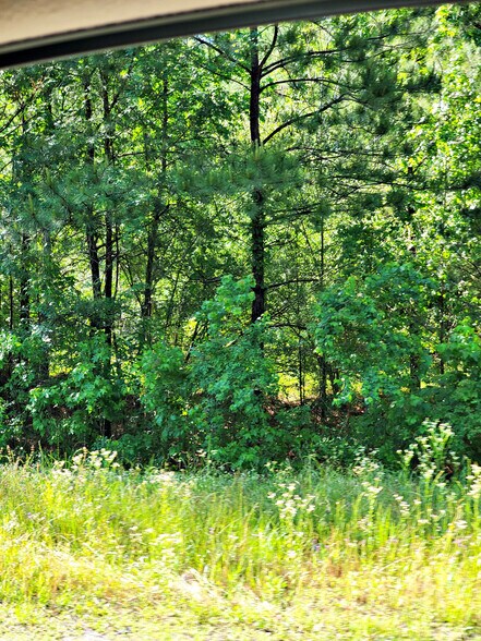 More Photos Of TBD Hwy. 96 N, Brookeland Land For Sale