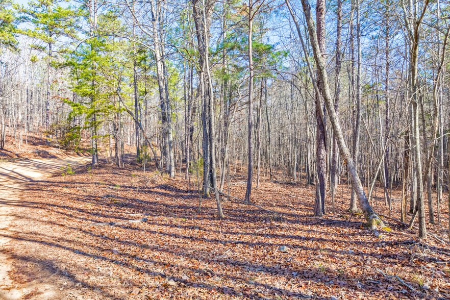 More Photos Of 277 Bethel Church Rd SE, Silver Creek Land For Sale