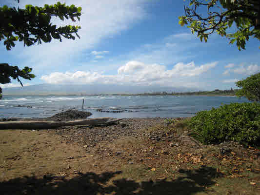 Primary Photo Of 104 Lower Waiehu Beach Rd, Wailuku Land For Sale