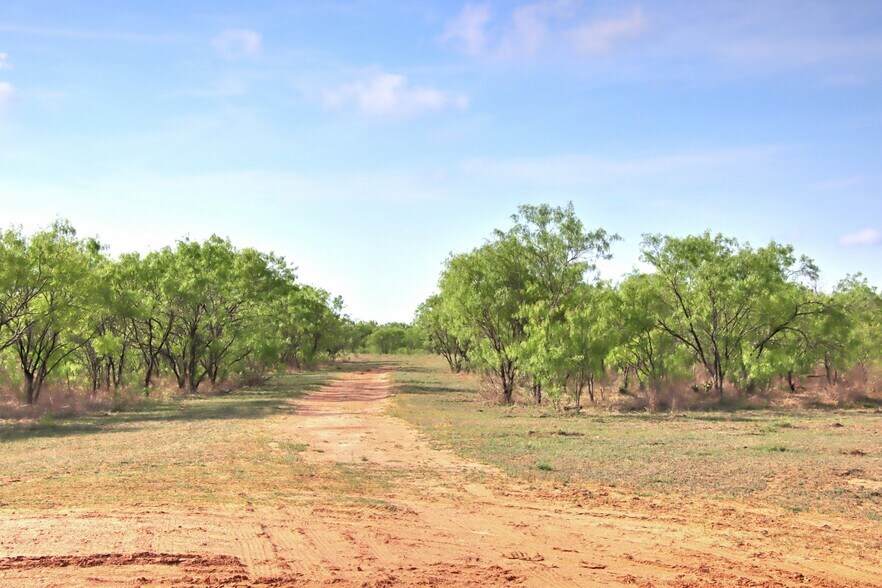 More Photos Of FM 574, Goldthwaite Land For Sale