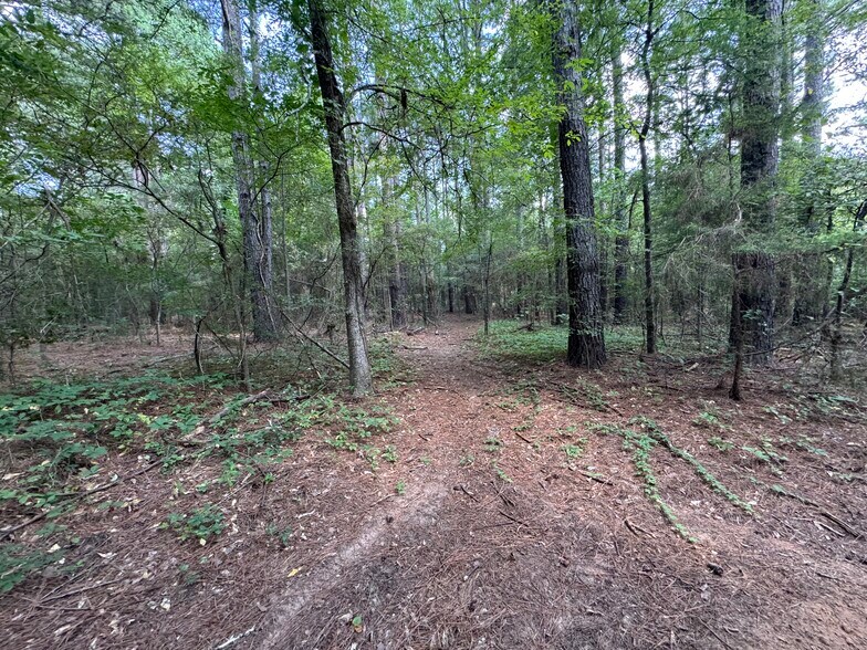 More Photos Of 000 Meadow View Ln, Flint Land For Sale