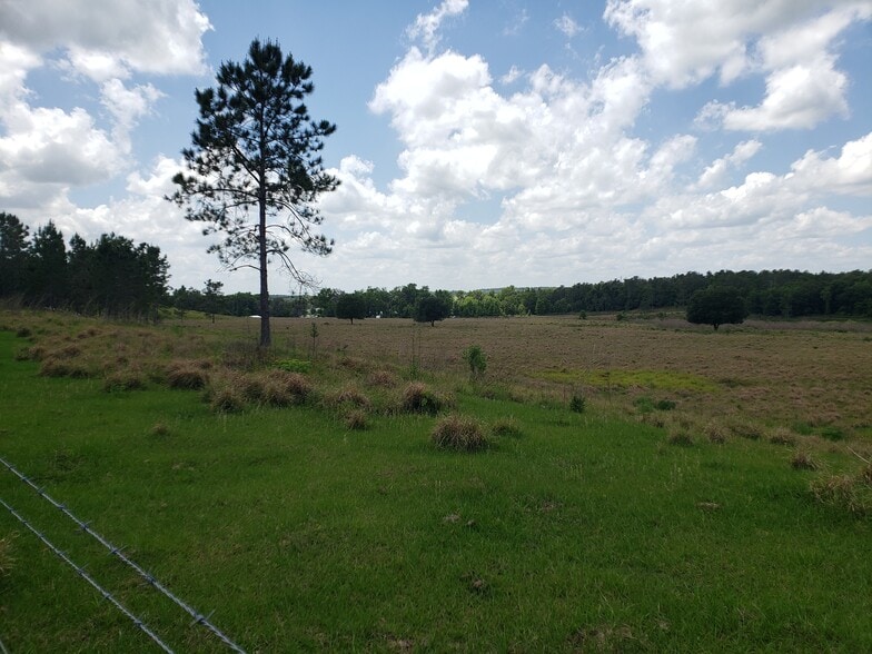 More Photos Of 31300 Blanton Rd, Dade City Land For Sale