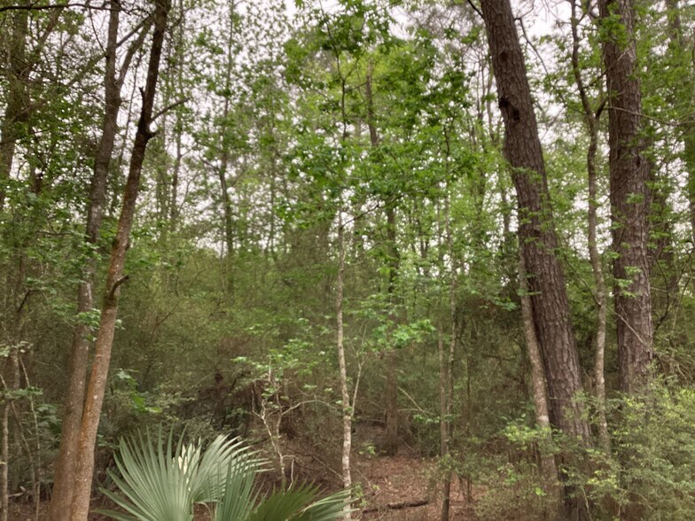 More Photos Of 0 County Road 4876, Dayton Land For Sale