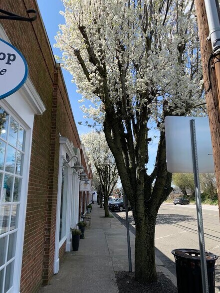 More Photos Of 49-51 Tokeneke Rd, Darien General Retail For Sale