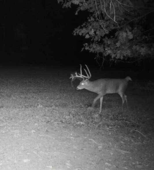 More Photos Of 0 Lower Mudlic rd, Mayport Land For Sale