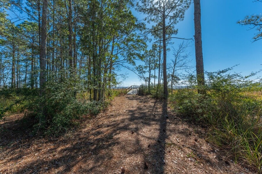 More Photos Of Hwy 331 S & Jolly Bay Road, Freeport Land For Sale