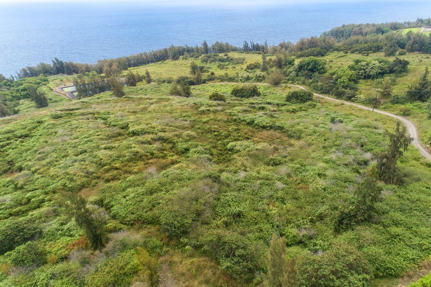 More Photos Of Tract E, Honokaa Land For Sale