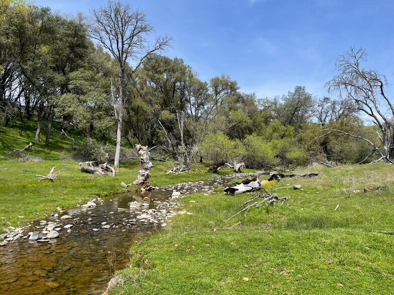 More Photos Of 5877 State 49 hwy, Mariposa Land For Sale