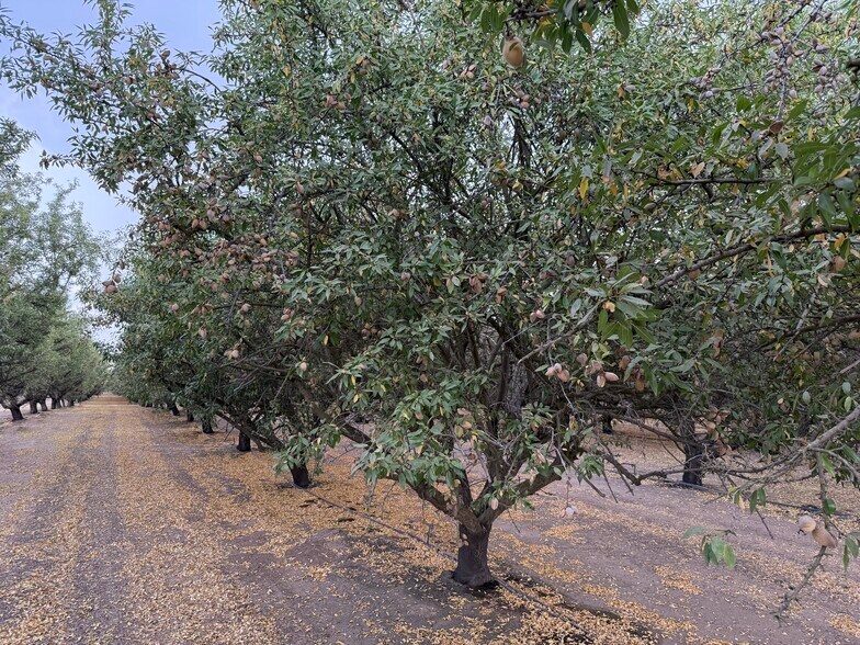 More Photos Of E. Keyes Rd @ Montpelier Rd, Denair Land For Sale