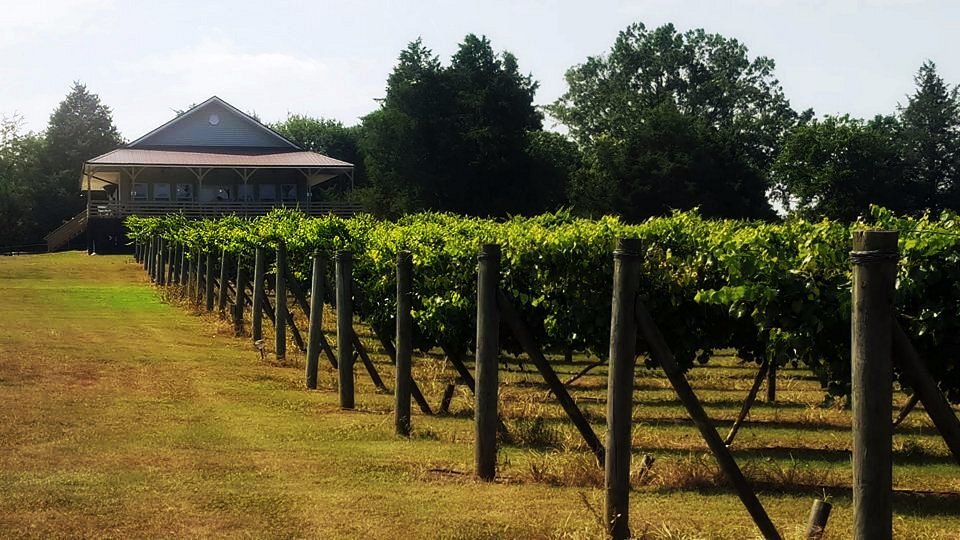 More Photos Of 1650 Dusty Rd, Newberry Winery Vineyard For Sale