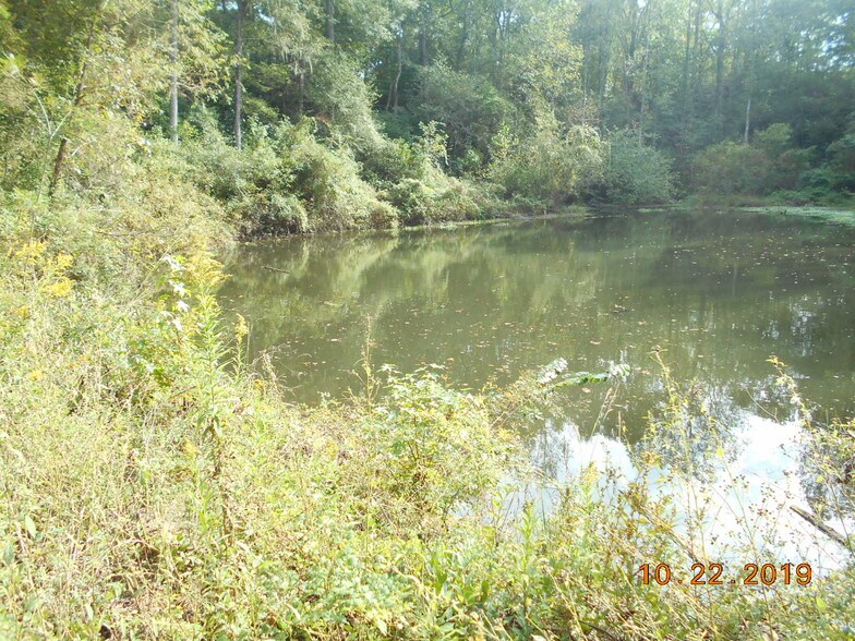 More Photos Of 282 Tuckasee King Rd, Clyo Land For Sale