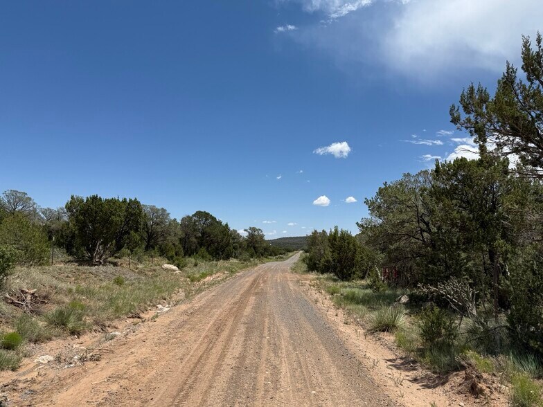 More Photos Of 44 Forest 321 Rd, Estancia Land For Sale