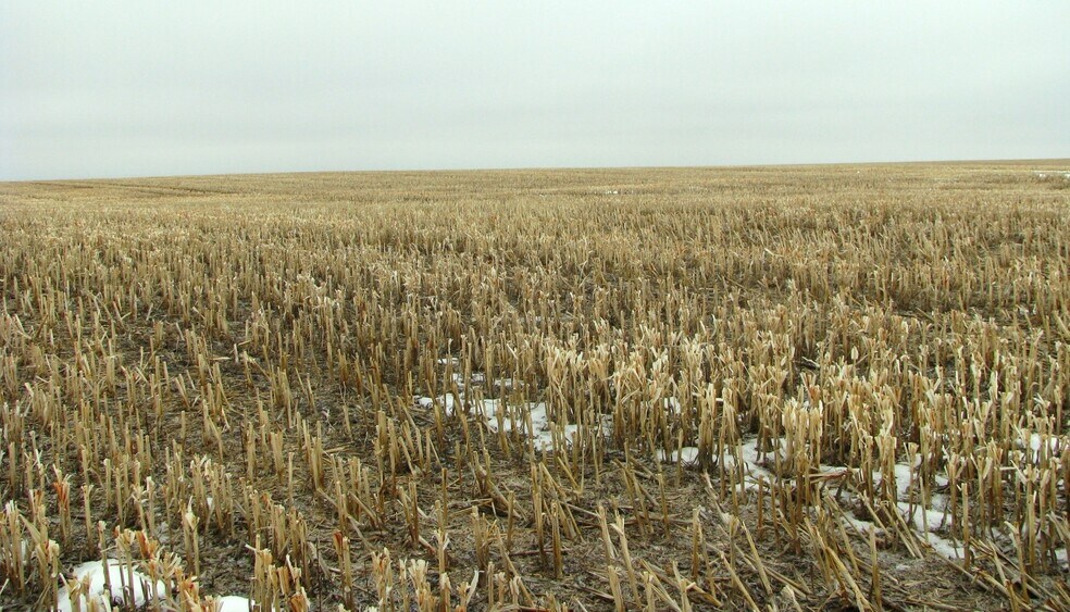 More Photos Of 27522 244th St, Murdo Land For Sale