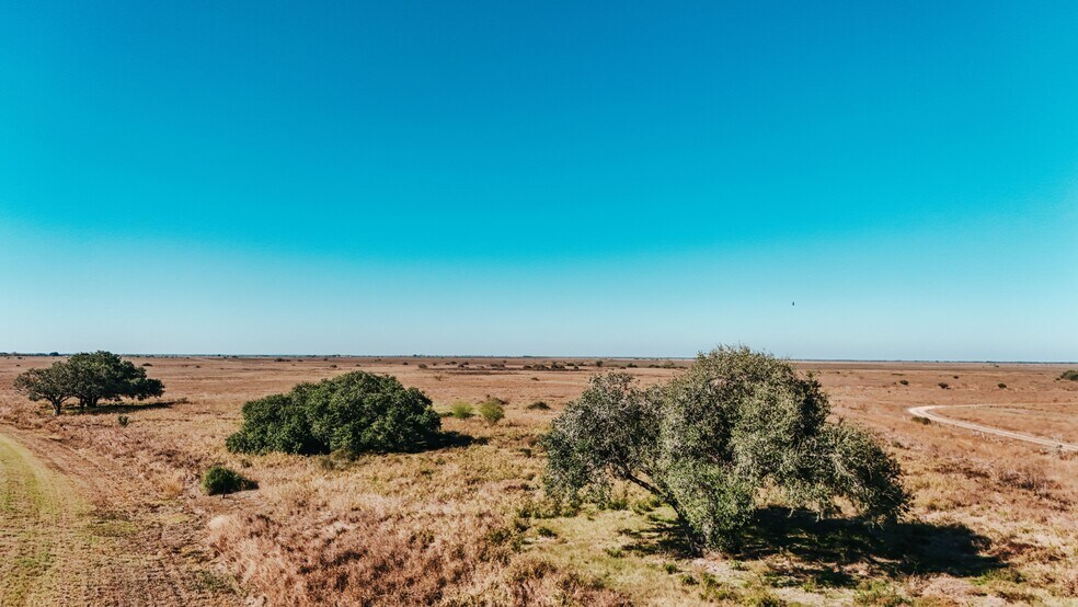 More Photos Of 5509 FM 444, Inez Land For Sale