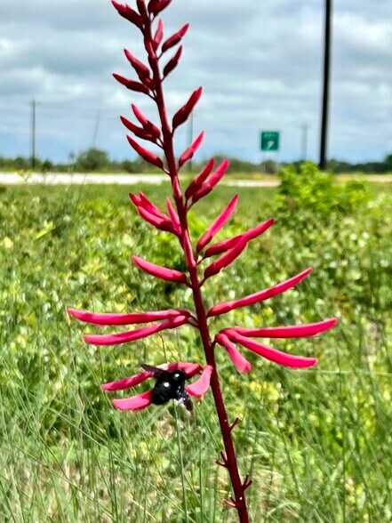 More Photos Of 1352 Lee Rd, Aransas Pass Land For Sale