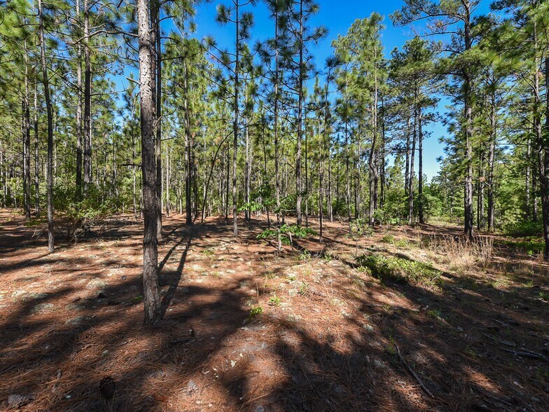 More Photos Of 224 Foxfire Rd, Aberdeen Land For Sale