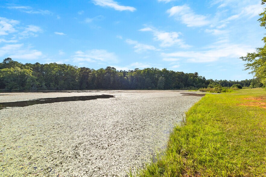 More Photos Of 4091 Hollonville Rd, Williamson Land For Sale