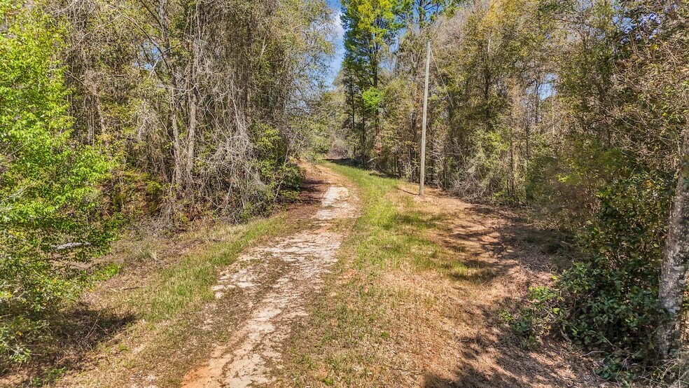 More Photos Of 7700 Iron Rush Rd, Wilmer Land For Sale