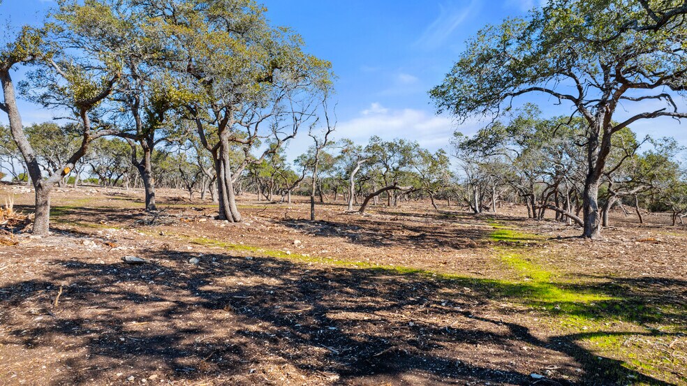 More Photos Of 16597 U.S. 281, Spring Branch Land For Sale