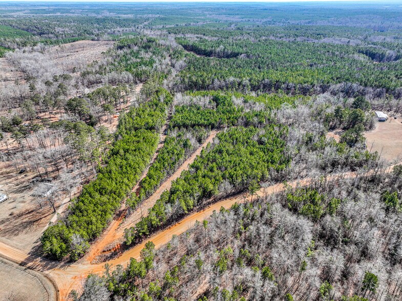 More Photos Of 184 Young Rd, Milledgeville Land For Sale
