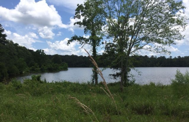 More Photos Of 2000 Preserve Lake Dr, Covington Medical For Sale