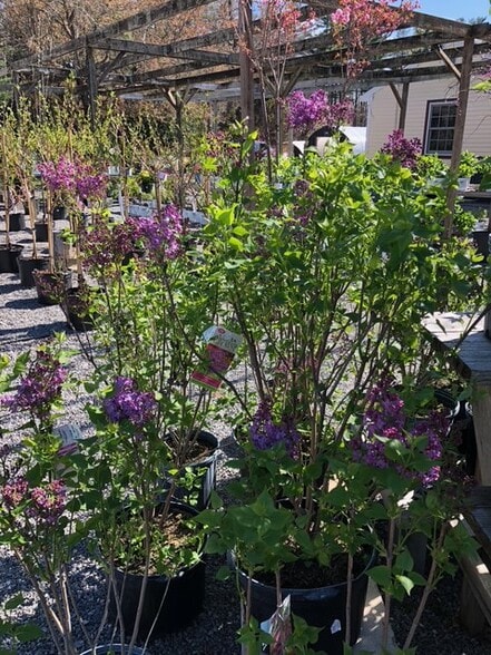 More Photos Of 398 W Main St, Groton General Retail For Sale