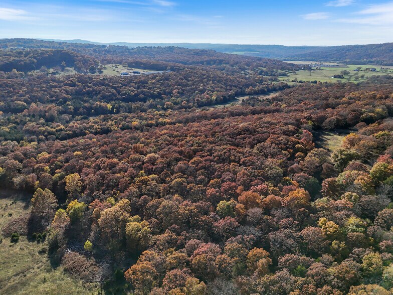 More Photos Of WC 136 Downing Rd rd, Fayetteville Land For Sale