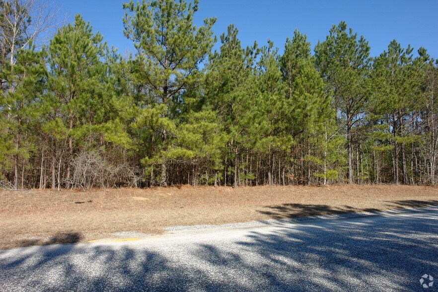Primary Photo Of Summerton Commerce Vlg, Summerton Land For Sale