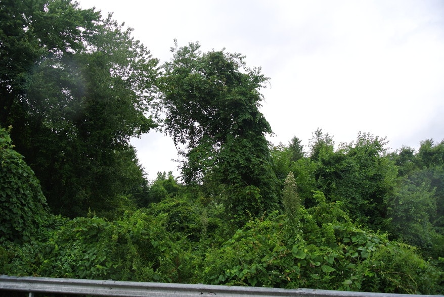 More Photos Of Mountain View Dr, Watertown Land For Sale