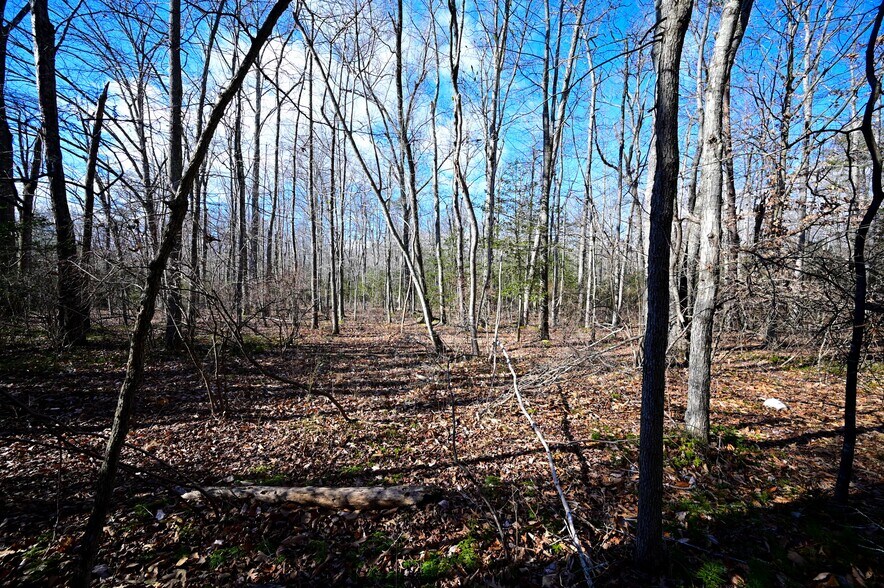 More Photos Of Stuckey Rd @ Mason Springs Rd, Indian Head Land For Sale