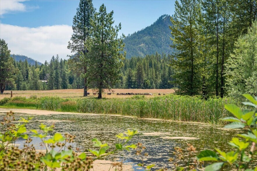 More Photos Of 44510 State 96 Hwy, Seiad Valley Land For Sale
