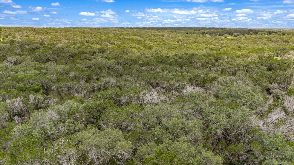 More Photos Of 4601 County Road 251, Hondo Land For Sale