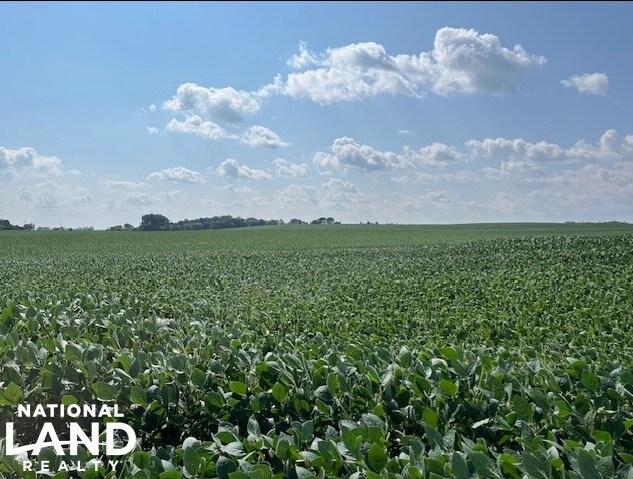 More Photos Of 820 Johnson Ave SW, Cokato Land For Sale