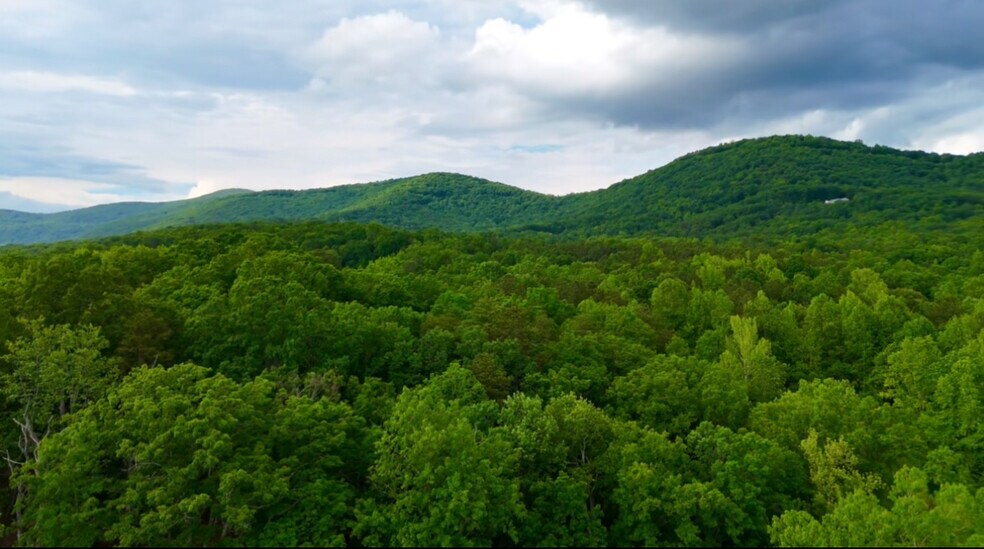 More Photos Of Cove Road, Jasper Specialty For Sale