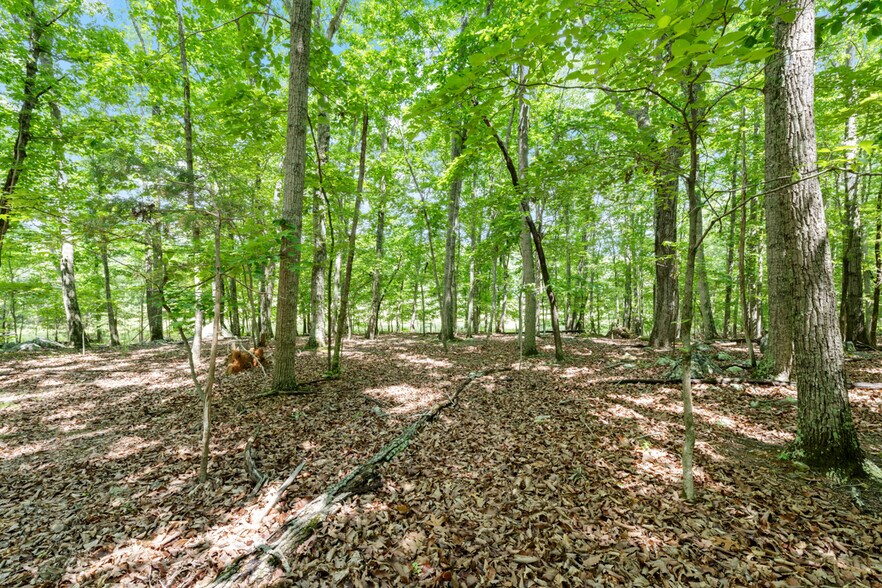 More Photos Of 2853 Franklin Rd, Hillsborough Land For Sale