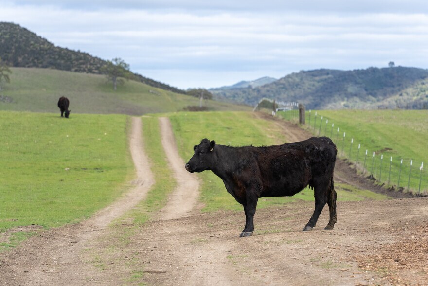 More Photos Of 76525 Interlake Rd, Bradley Land For Sale