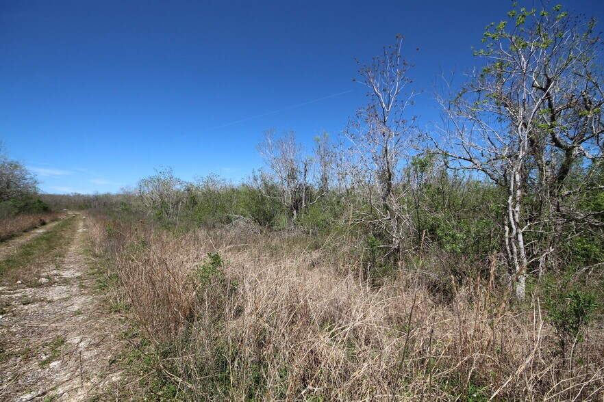 More Photos Of Hwy 288 hwy, Rosharon Land For Sale