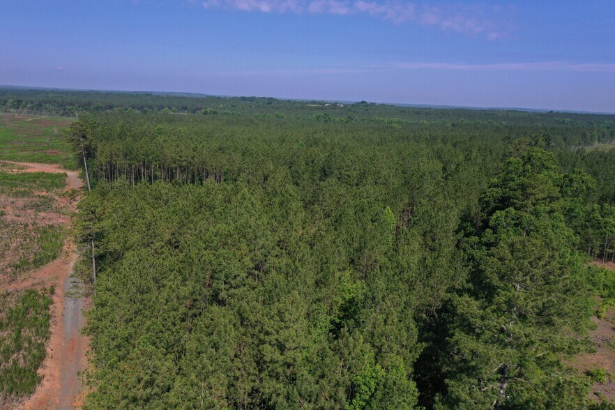 More Photos Of 00 Everett Chappell Rd, Mount Gilead Land For Sale