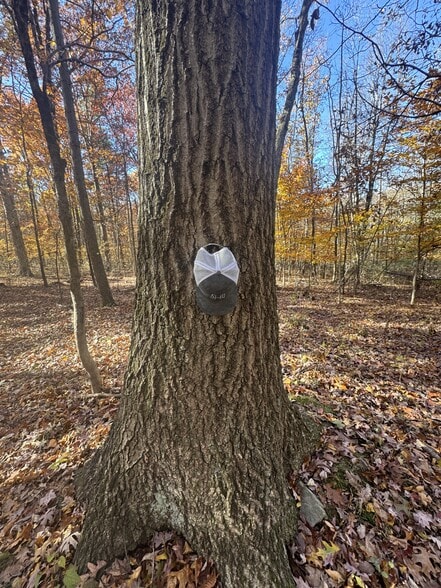 More Photos Of Old Harrisburg Rd, York Springs Land For Sale