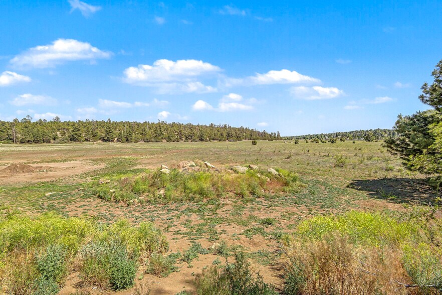More Photos Of 5255 E Cortland Blvd, Flagstaff Land For Sale