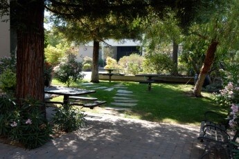 More Photos Of 150 N Wiget Ln, Walnut Creek Office For Sale